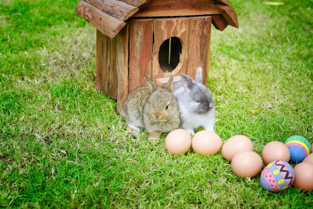 Lapin de Pâques à l&#39;oeuf sur fond d&#39;herbe. Concept de vacances de Pâques.