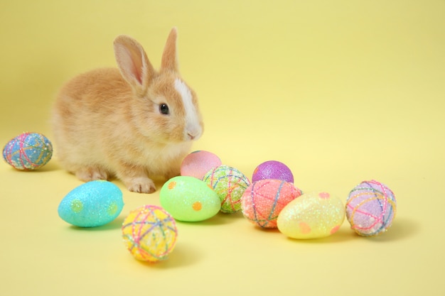 Lapin de Pâques avec oeuf peint dans le panier en bois