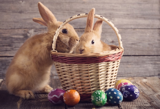 Lapin de Pâques avec des oeufs sur fond de bois