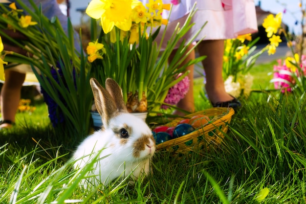 Lapin de Pâques sur Prairie avec panier et œufs