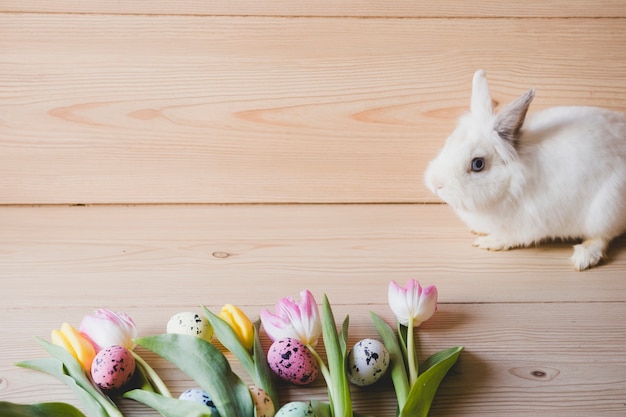 Lapin près des oeufs et des tulipes