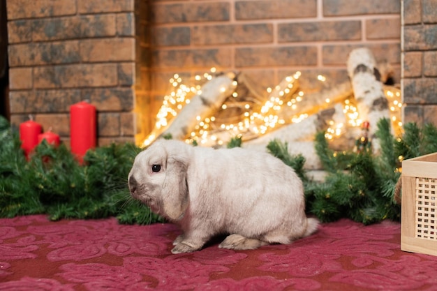 Un lapin à tête grise est assis sur le tapis près de la cheminée et des bougies rouges