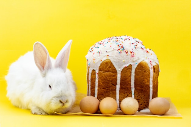 Lapin vivant moelleux de Pâques blanc avec un cupcake d'oeufs de Pâques sur un mur jaune pastel. Concept pour les vacances de Pâques