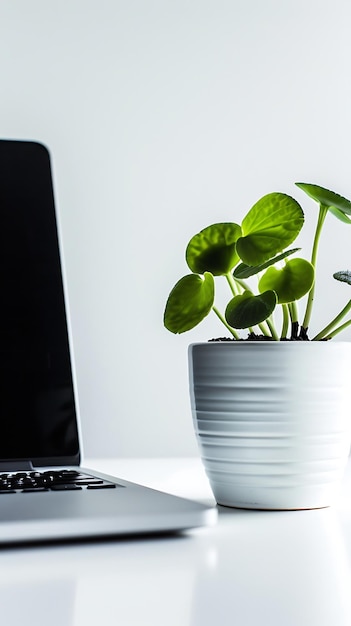 Photo laptop et pot de fleurs sur une table blanche espace de copie ia générative