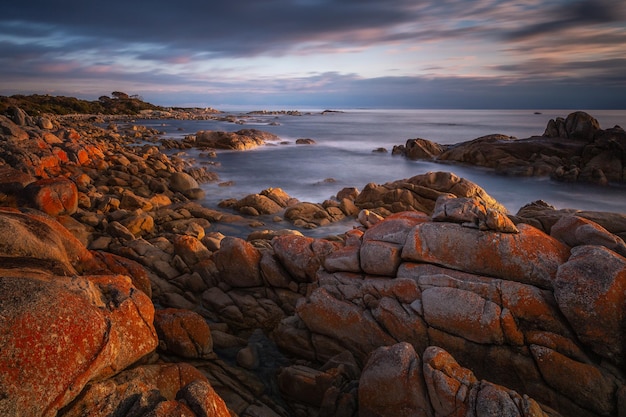 Larapuna Eddystone Point, Tasmanie au lever du soleil