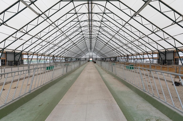 Une large allée avec des tables de fourrage sur les côtés pour les vaches d'une ferme moderne