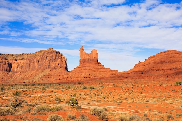 Large espace désert ouvert avec une verdure printanière abondante avec ciel bleu et montagnes rouges à distance, USA