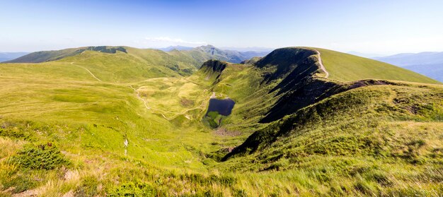 Large panorama de vertes collines de montagne. Montagnes des Carpates en été.