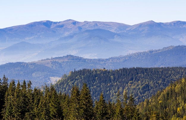 Large panorama de vertes collines de montagne par temps clair et ensoleillé. Paysage de montagnes des Carpates en été. Vue des pics rocheux recouverts de pins verts. Beauté de la nature.