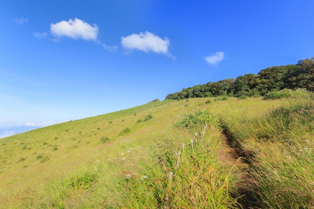 Large Prairie avec des nuages dans le ciel bleu en journée ensoleillée