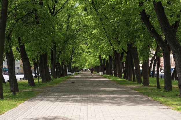 Large rue piétonne ombragée de la ville en été. Saint-Pétersbourg