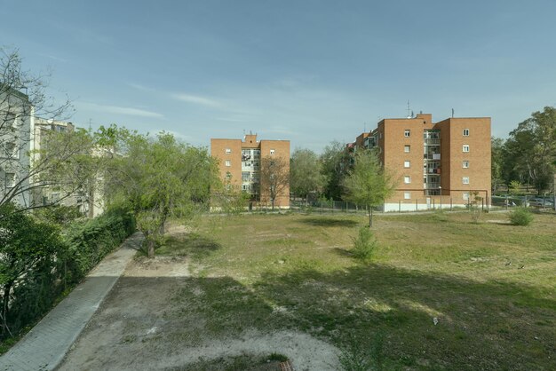 Une large terrasse avec quelques arbres en vrac