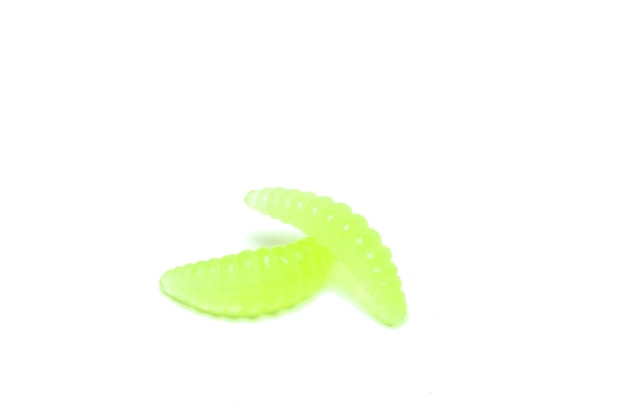 Larves de pêche artificielles vertes d'insectes sur fond blanc avec une ombre douce