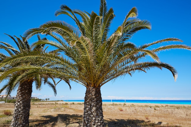 Las Marinas à Denia à Alicante en Espagne