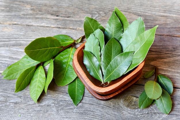 Laurel ou sweet bay dans un bol en bois sur une table grise