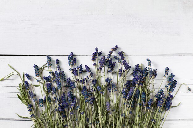 Lavande bleue sur une table en bois blanche