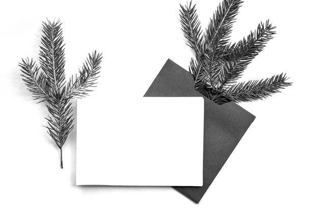 Photo layout de carte postale minimaliste avec une branche de sapin dans le style rétro enveloppe kraft à couche plate vue supérieure