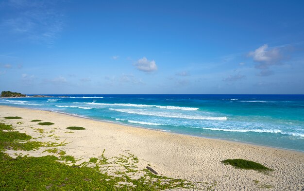 Île de Cozumel, plage de San Martin au Mexique