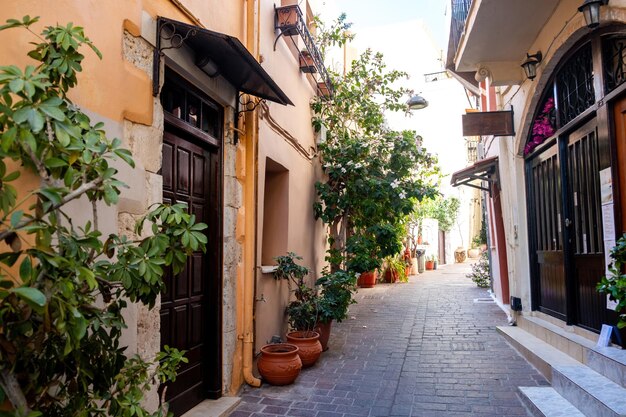 Île de Crète Grèce Chania Vieille ville Bâtiment et pot de magasin avec plante sur allée pavée jour d'été