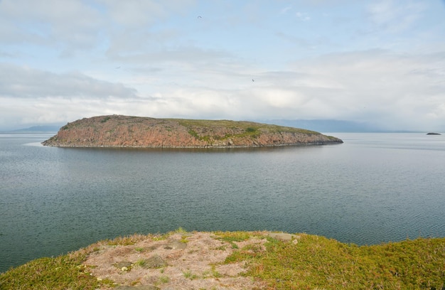 Île dans le lac