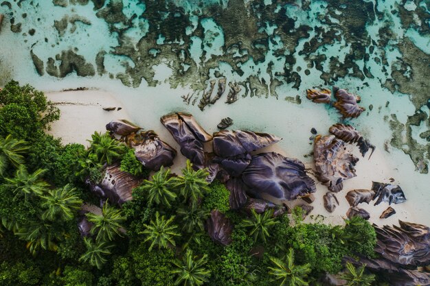 Île "La digue" aux Seychelles. Plage d'argent avec pierre granitique et jungle. Vue aérienne