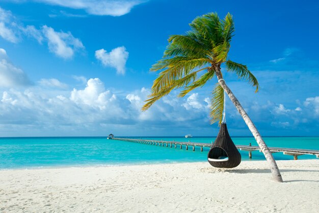 Île des Maldives avec plage de sable blanc et mer