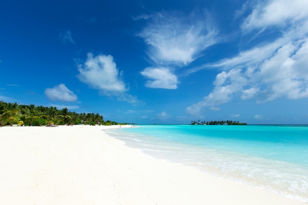 Île des Maldives avec plage de sable blanc et mer