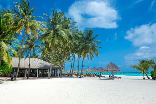 Île des Maldives avec plage de sable blanc et mer