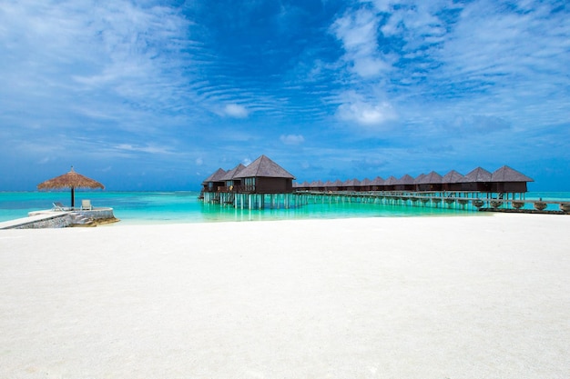 Île des Maldives avec plage