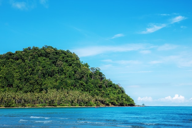 Île sur la mer bleue.