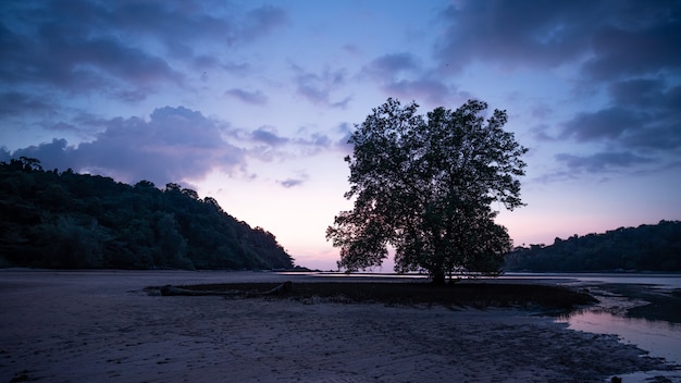 Île de la mer tropicale dans la soirée