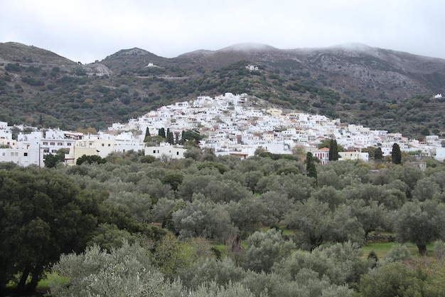 Île de Naxos Grèce