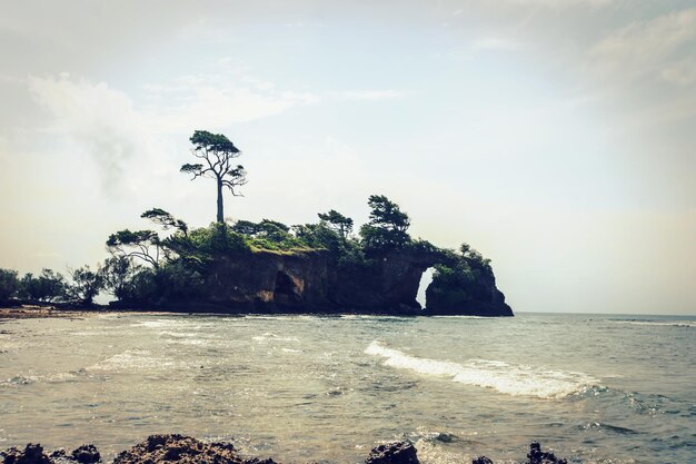 Île Neil dans l'archipel Andaman et Nicobar