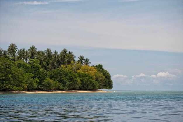 Île paradisiaque turquoise de Siladen