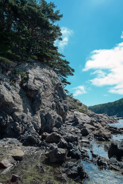 Île près de la mer