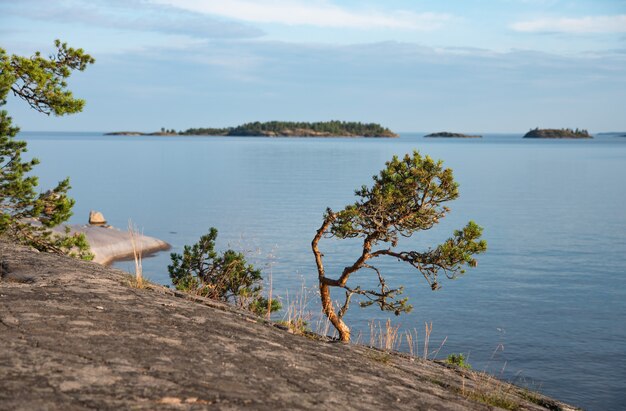 Île de la République de Carélie entourée par le lac