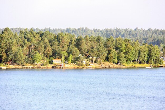 Île solitaire en Suède Archipel de Stockholm