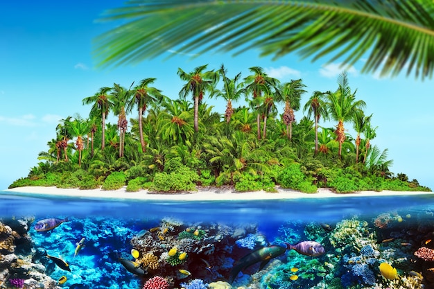 Île tropicale dans l'atoll de l'océan tropical et monde sous-marin merveilleux et magnifique avec coraux et poissons tropicaux.