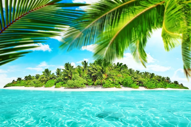 Île tropicale entière dans l'atoll dans l'océan tropical un jour d'été. Île subtropicale inhabitée et sauvage avec des palmiers. Partie équatoriale de l'océan, station balnéaire tropicale.