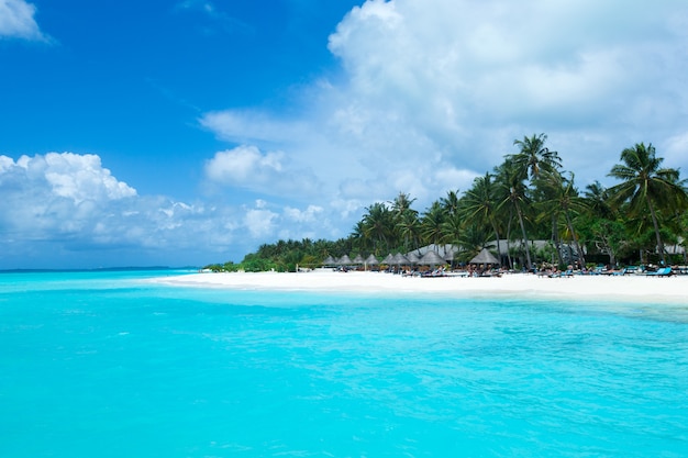 Île tropicale des Maldives avec plage de sable blanc et mer