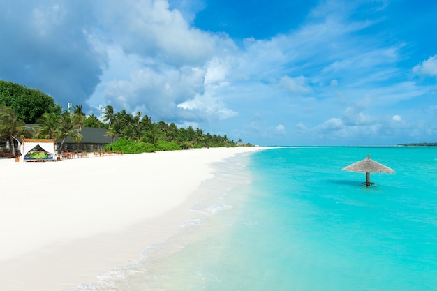 Île tropicale des Maldives avec plage de sable blanc et mer