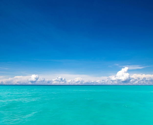 Île tropicale des Maldives avec plage de sable blanc et mer