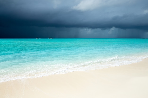 Île tropicale des Maldives avec plage de sable blanc et mer