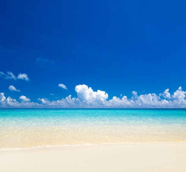 Île tropicale des Maldives avec plage de sable blanc et mer