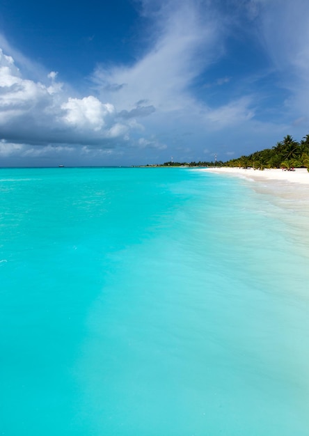 Île tropicale des Maldives avec plage de sable blanc et mer