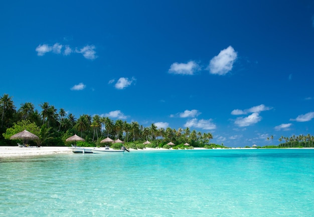 Île tropicale des Maldives avec plage de sable blanc et mer