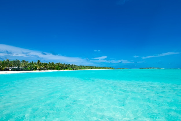 Île tropicale des Maldives avec plage de sable blanc et mer