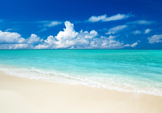 Île tropicale des Maldives avec plage de sable blanc et mer