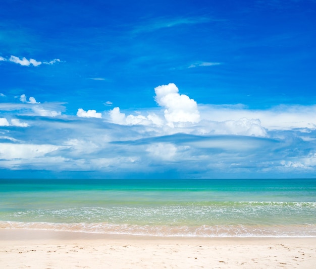 Île tropicale des Maldives avec plage de sable blanc et mer