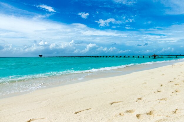 Île tropicale des Maldives avec plage de sable blanc et mer